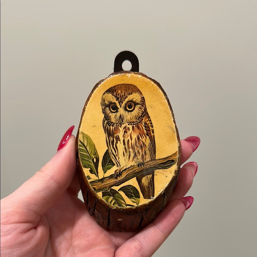 🦉 Vintage Rustic Owl Wood Slice Wall Hanging – Cabin & Cottagecore Decor